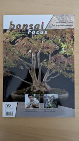 Bonsai Focus