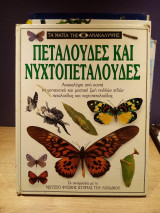 Πεταλούδες και νυχτοπεταλούδες