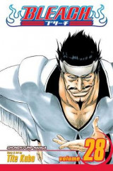 Bleach, Vol. 28 No.28