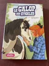 Le cheval du médaillon