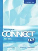 Connect B2 Test