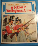A Soldier in Wellington's Army