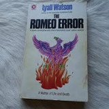 The Romeo Error