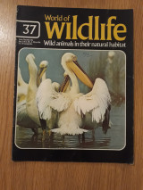World of wildlife, Vol. 3, Pt. 37