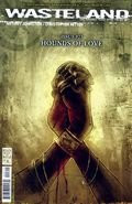 Wasteland 23