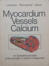 Myocardium Vessels Calcium