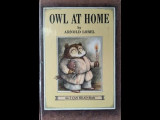 Owl at Home