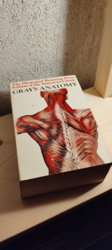 Gray's Anatomy