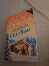 Snowed in for Christmas