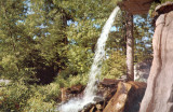 Κάρτα - Sterling Forest Gardens - 1969 - New York - U.S.A.
