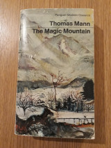The magic mountain