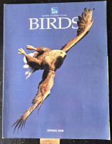 Birds Volume 20 No 5 Spring. The rise of the Great spotted woodpecker. The eagle odyssey. Coffee, chocalate, cocoa and birds