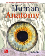 Human anatomy