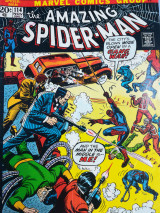 The amazing Spiderman Vol.1, No 114 , November 1972
