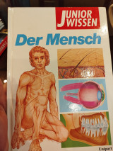 Junior Wissen, Der Mensch