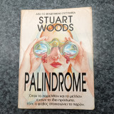 Palindrome