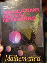 Simulating Neural Networks with Mathematica