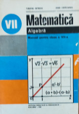 Matematica Algebra vii