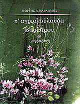 Τ' αγριολούλουδα του Βαρλάμου: Ζωγραφική