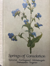 Springs of Consolation