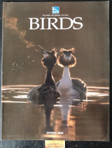 Birds Volume 21 No 1 Spring.Minsmere. Maning water the natural way. Life in the city wildlife for all