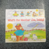 What's the Weather Like , Teddy?