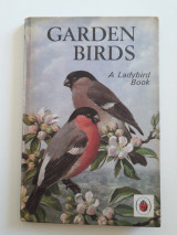Garden Birds