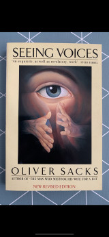 Seeing Voices