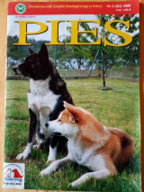 Pies 4 (282) 2000