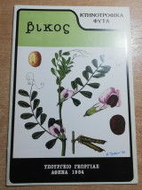 Βίκος