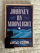 Journey by Moonlight