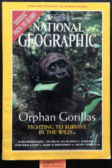 National Geographic Febuary 2000 Orphan Gorillas, Black Dragons, Messel, Voting rights, Balkans