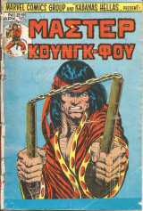 Μαστερ κουνγκ-φου νο 29