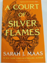 Court of Silver Flames
