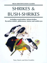 Shrikes & Bush-Shrikes