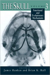 The Skull, Volume 3