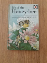 Life of the honey-bee