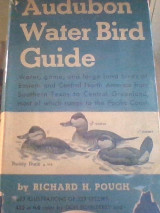 Audubon Water Bird Guide