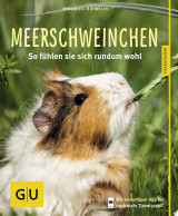 Meerschweinchen