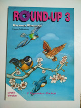 Round-up 3 grammar workbook
