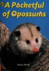A Pocketful of Opossums