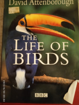 The Life of Birds