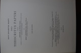Two theocritus papyri