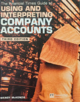 Using and Interpreting Company Accounts
