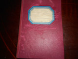 Le Roman de francois villon