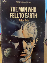 The man who fell to earth