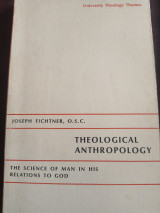 Theological anthropology