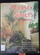 Plants & flowers in the home