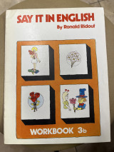 Say it in english workbook 3b