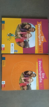 Die Deutschprofis A1.1